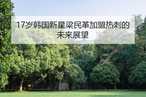 17岁韩国新星梁民革加盟热刺的未来展望